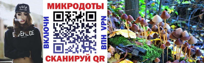 blacksprut рабочий сайт  Железногорск  Галлюциногенные грибы Psilocybine cubensis 