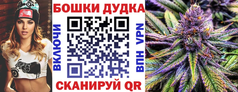 Бошки Шишки SATIVA & INDICA  где купить наркоту  Железногорск 